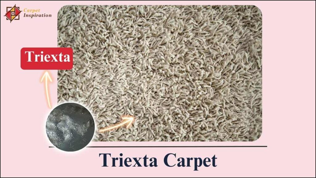 Triexta Carpet