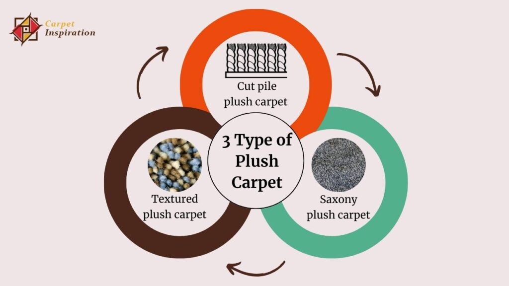 3 Type of Plush Carpet