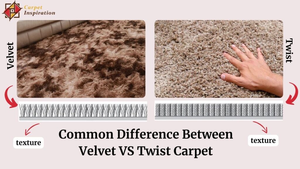 Common Difference Between Velvet VS Twist Carpet