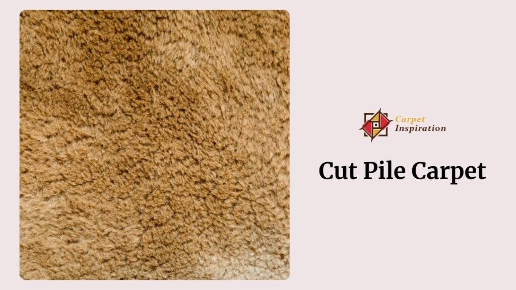 Cut Pile Carpet