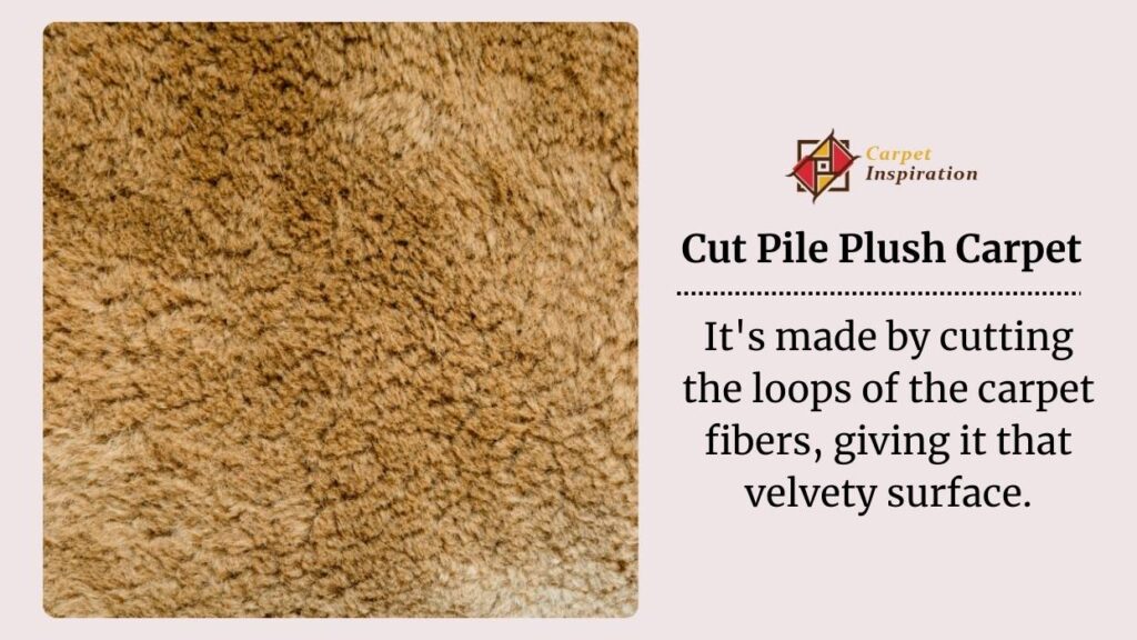 Cut Pile Plush Carpet