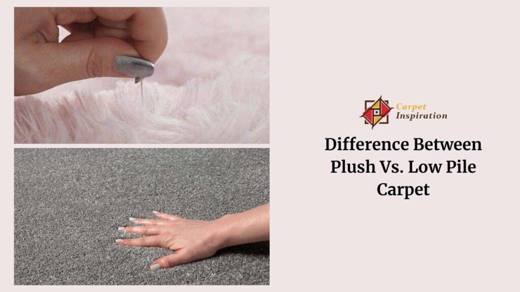 Difference Between Plush and Low Pile Carpet