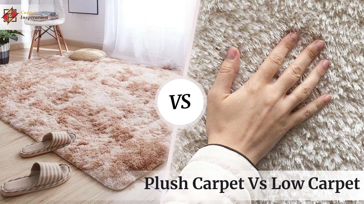 Plush Carpet Vs Low Carpet