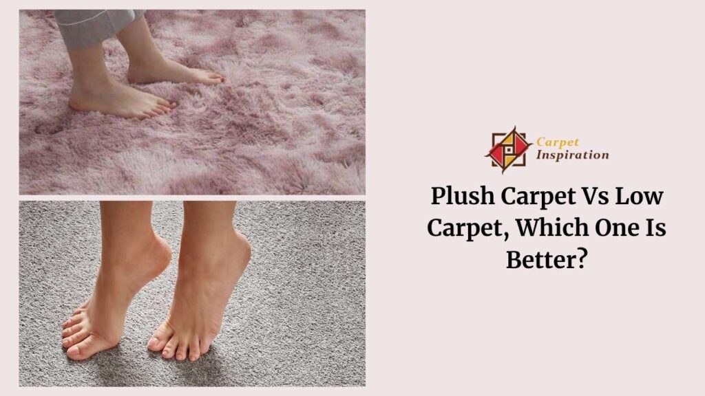 Plush Carpet Vs Low Carpet Which One Is Better