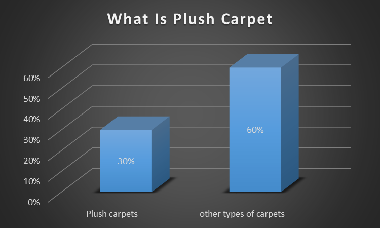 Plush Carpet Vs Others carpet