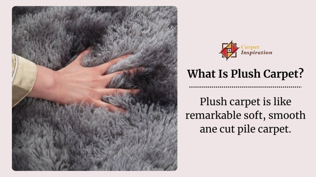 Plush Carpet explained