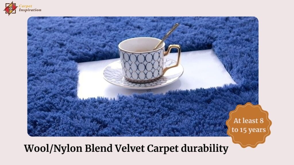 Wool Nylon Blend Velvet Carpet durability