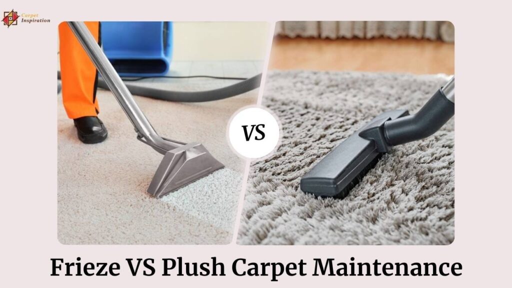 Frieze VS Plush Carpet Maintenance