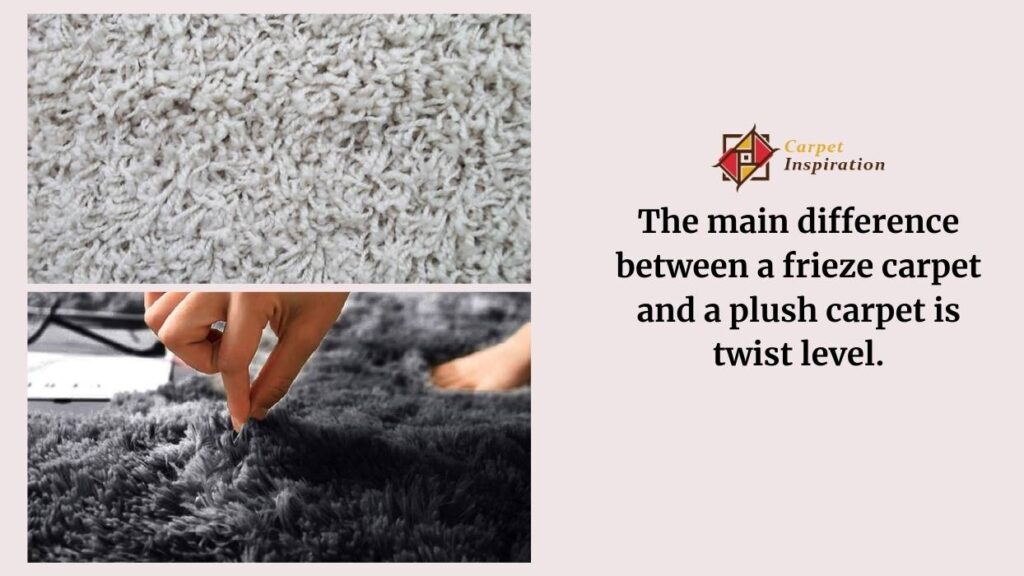 The main difference between a frieze carpet and a plush carpet is twist level