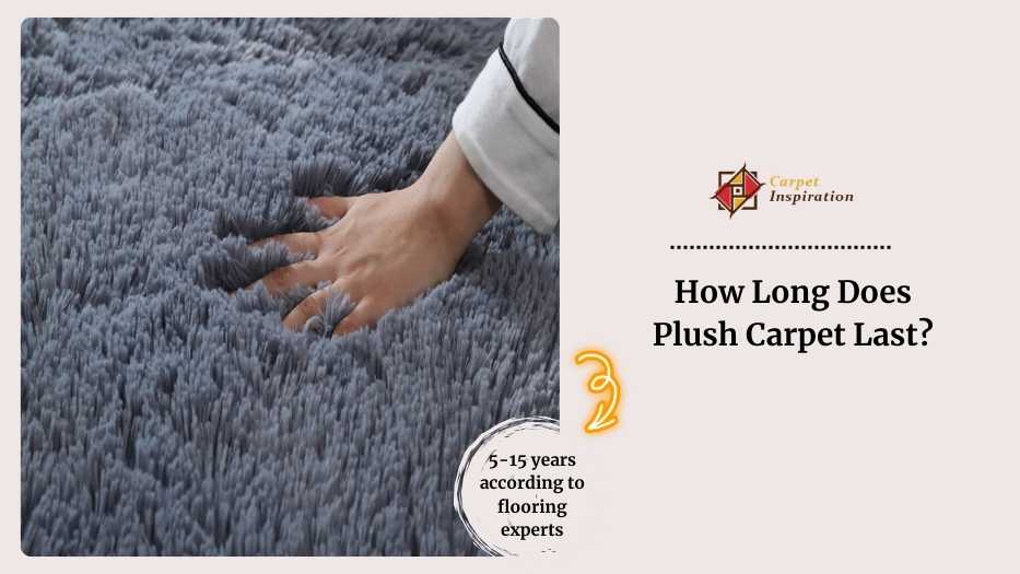 Plush Carpet Lifespan