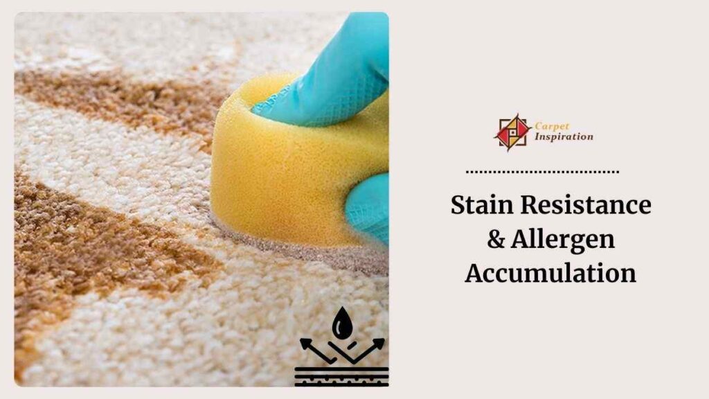 Stain Resistance & Allergen Accumulation