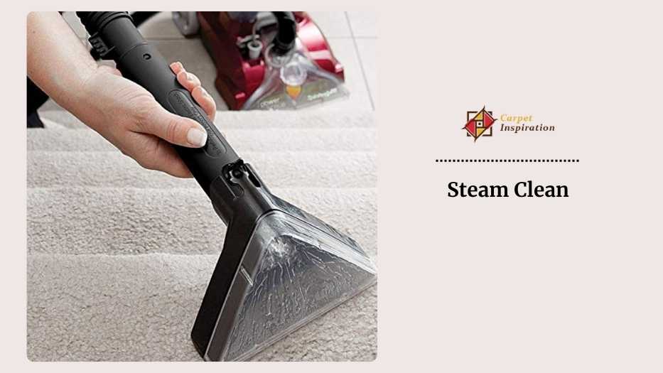 Steam Clean