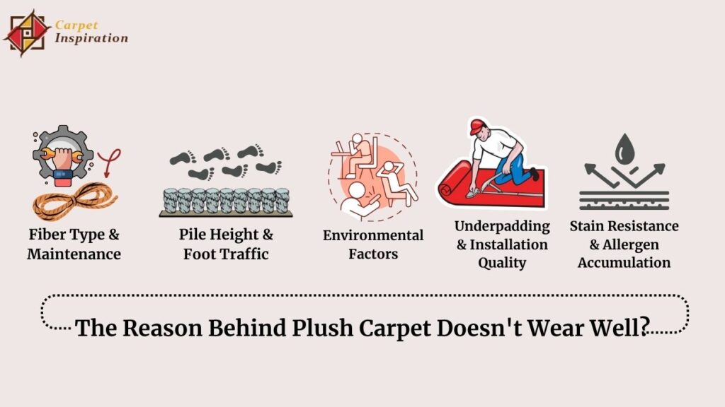 The Reason Behind Plush Carpet Doesn't Wear Well