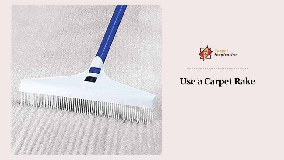 Use a Carpet Rake