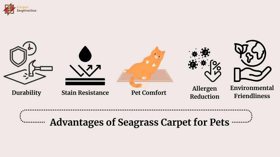 Advantages of Seagrass Carpet for Pets