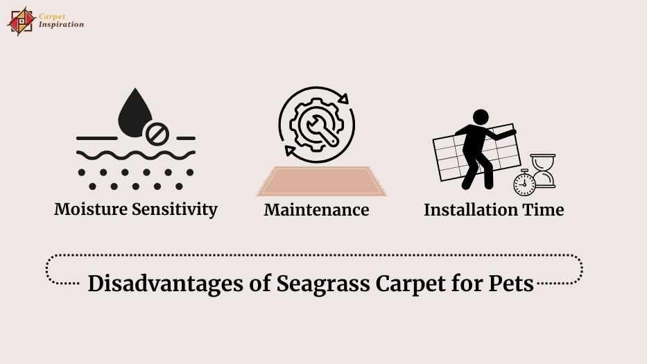 Disadvantages of Seagrass Carpet for Pets