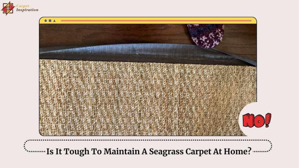 Is It Tough To Maintain A Seagrass Carpet At Home