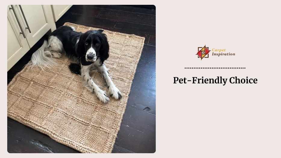 Pet-Friendly Choice