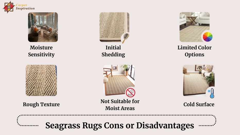 Seagrass Rugs Cons or Disadvantages