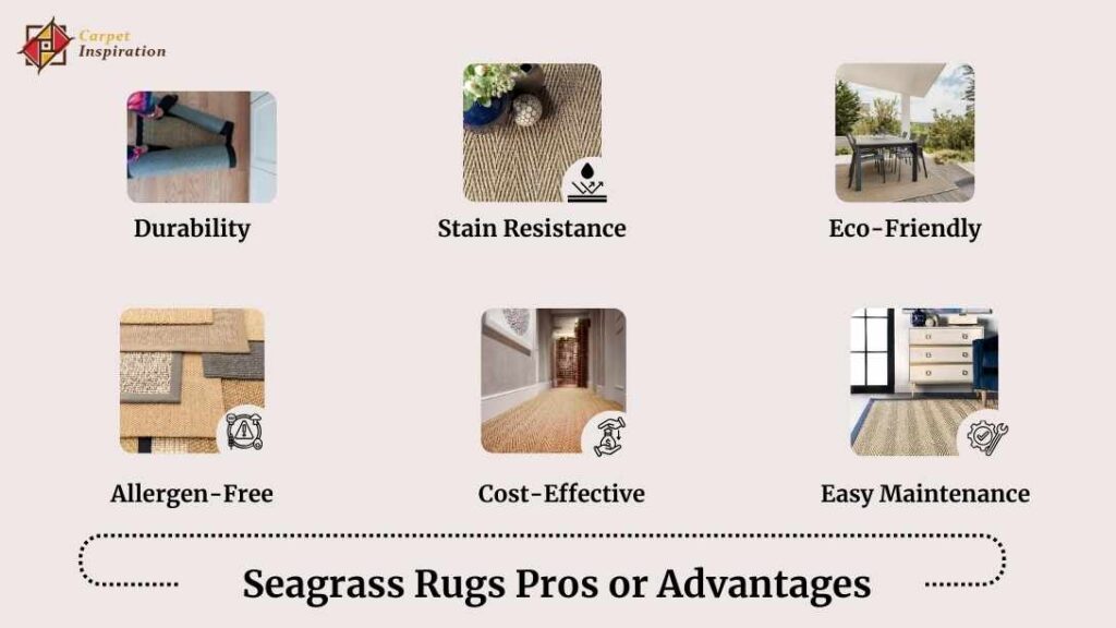 Seagrass Rugs Pros or Advantages