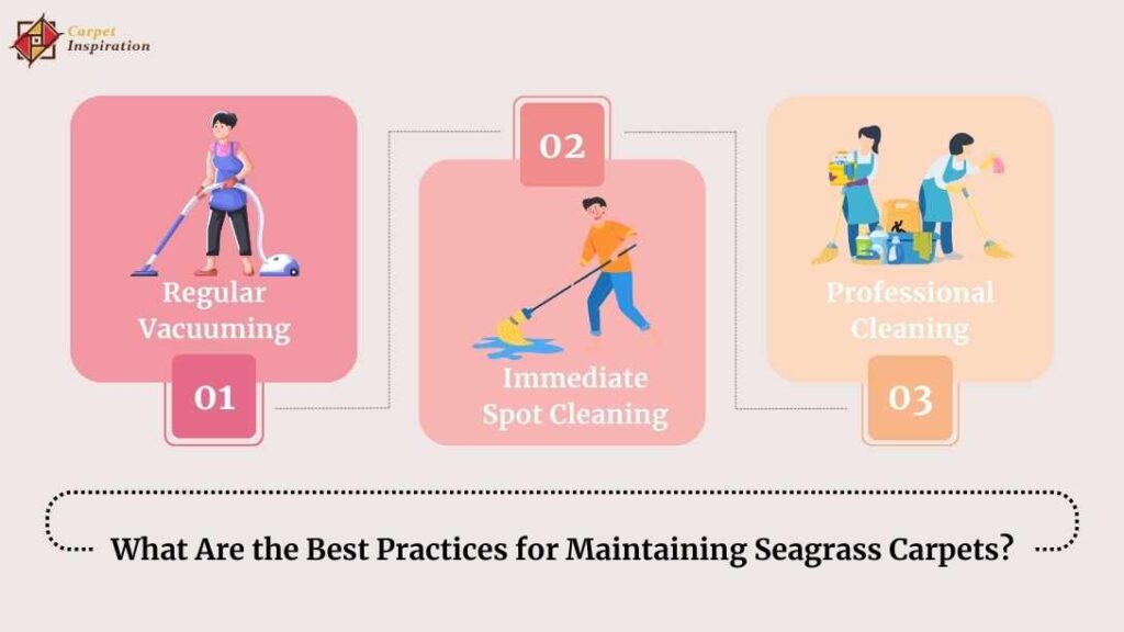 What Are the Best Practices for Maintaining Seagrass Carpets