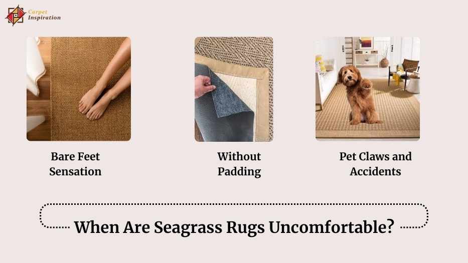 When Are Seagrass Rugs Uncomfortable