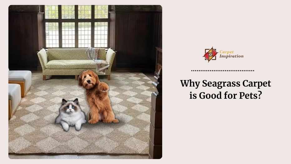 Why Seagrass Carpet Good For Pets