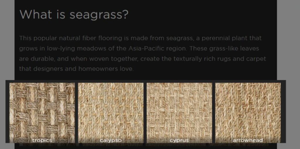 Seagrass Carpet