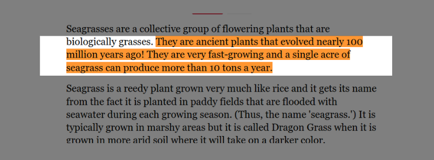 seagrass plants evolved nearly 100 million years ago