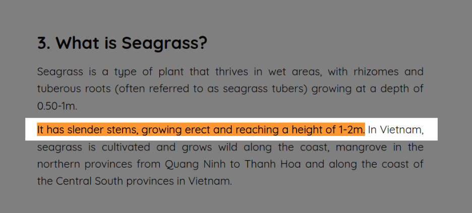 What is Seagrass?