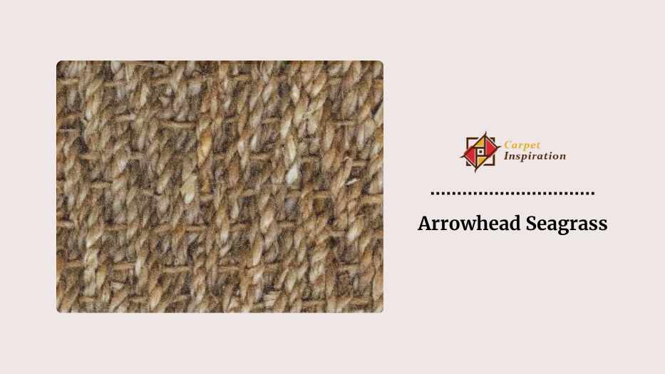 Arrowhead Seagrass