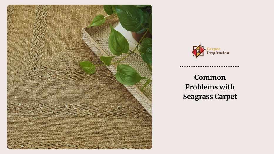 Common Problems with Seagrass Carpet