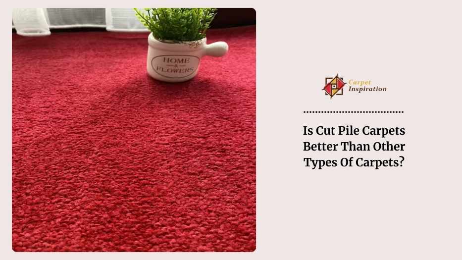 Is Cut Pile Carpets Better Than Other Types Of Carpets