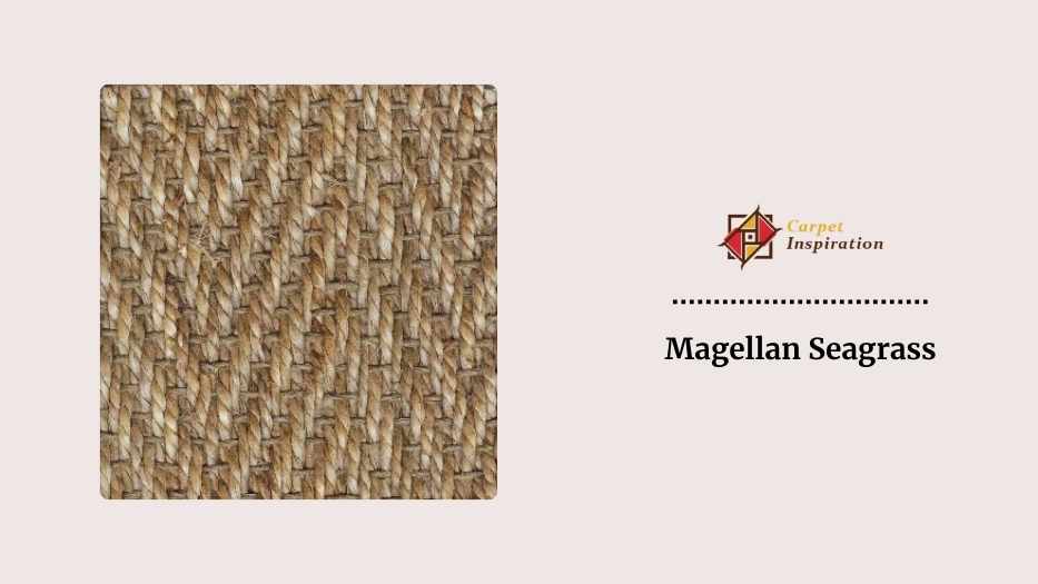 Magellan Seagrass