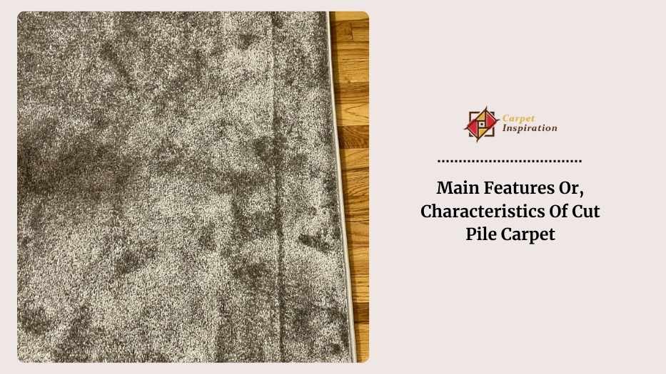 Main Features Or, Characteristics Of Cut Pile Carpet