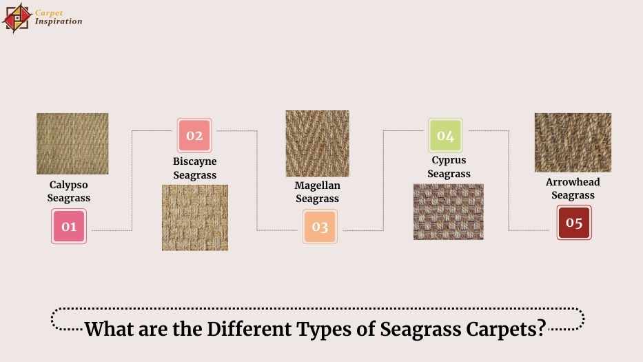 What are the Different Types of Seagrass Carpets