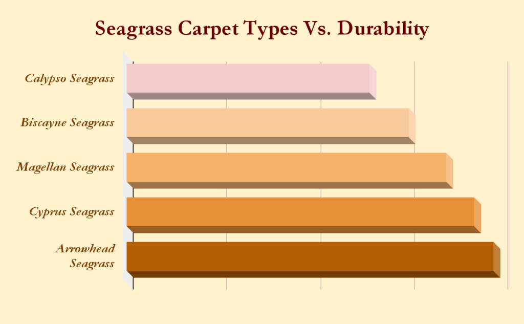 Seagrass Carpet Types Vs Durability